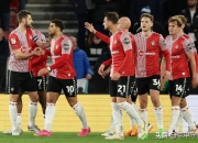 开云体育竞技-南安普顿主场不敌强敌，遭遇困境的简单介绍