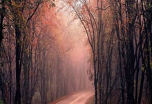 开云体育课程-曼城继续关注西甲前锋：未来转会或成定局