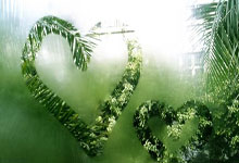 开云体育亚洲官网-瓦伦西亚主场惜败，法国联赛亟需强化主场战斗力的深度剖析