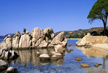 开云体育课程-尤文图斯后卫力挺，法国联赛争胜在望